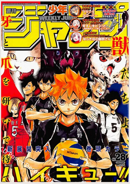 Poster Cartaz Fotográfico Haikyuu!! Anime Mangá A4 Decoração