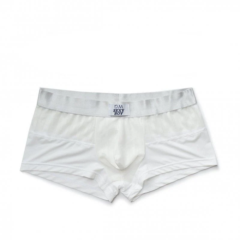 Low Waist Sexy Quick Dry Mesh Transparent Breathable Boys' Boxer Briefs Solid Color Simple Stretchy Briefs