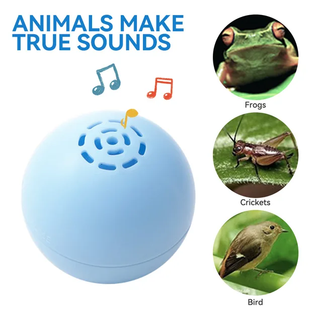 Boule roulement automatique pour chat jouets intelligents lectriques interactifs pour l entra nement des chats accessoires