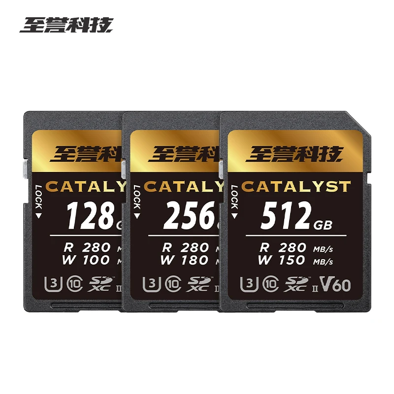 Exascend SD Card 128GB 256GB 512GB SDXC V30 V60 V90 Catalyst