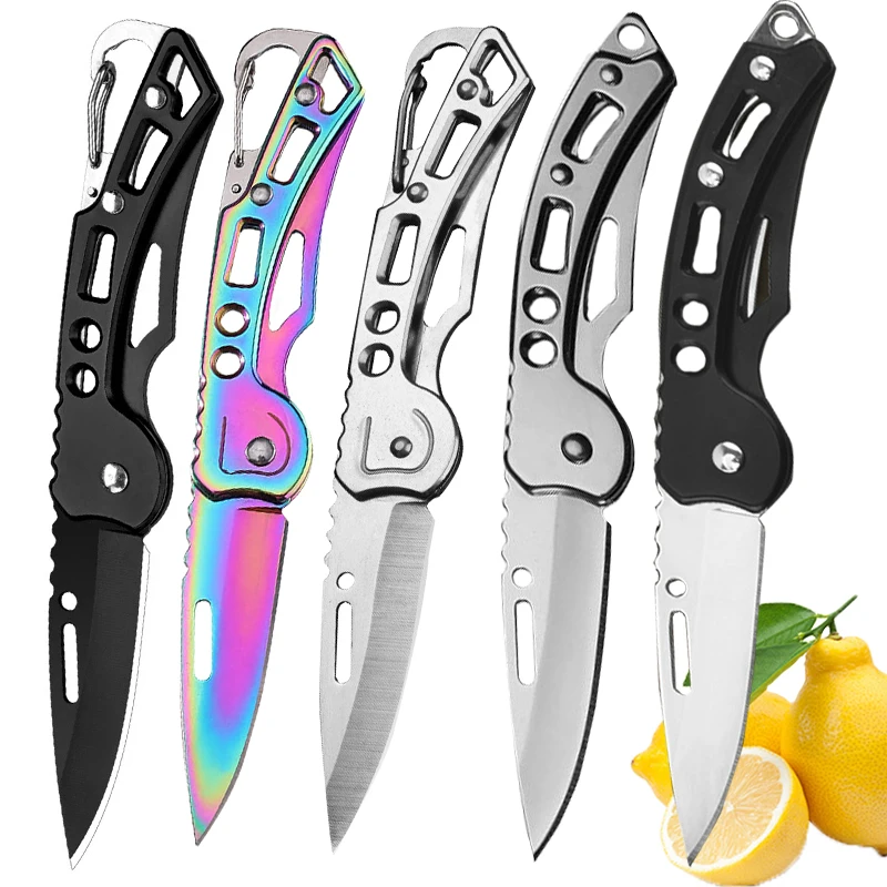 Folding Fruit Knife Stainless Steel Pocket Knife with Keychain Fruit Slicing Knives Non-slip Handle Household Small