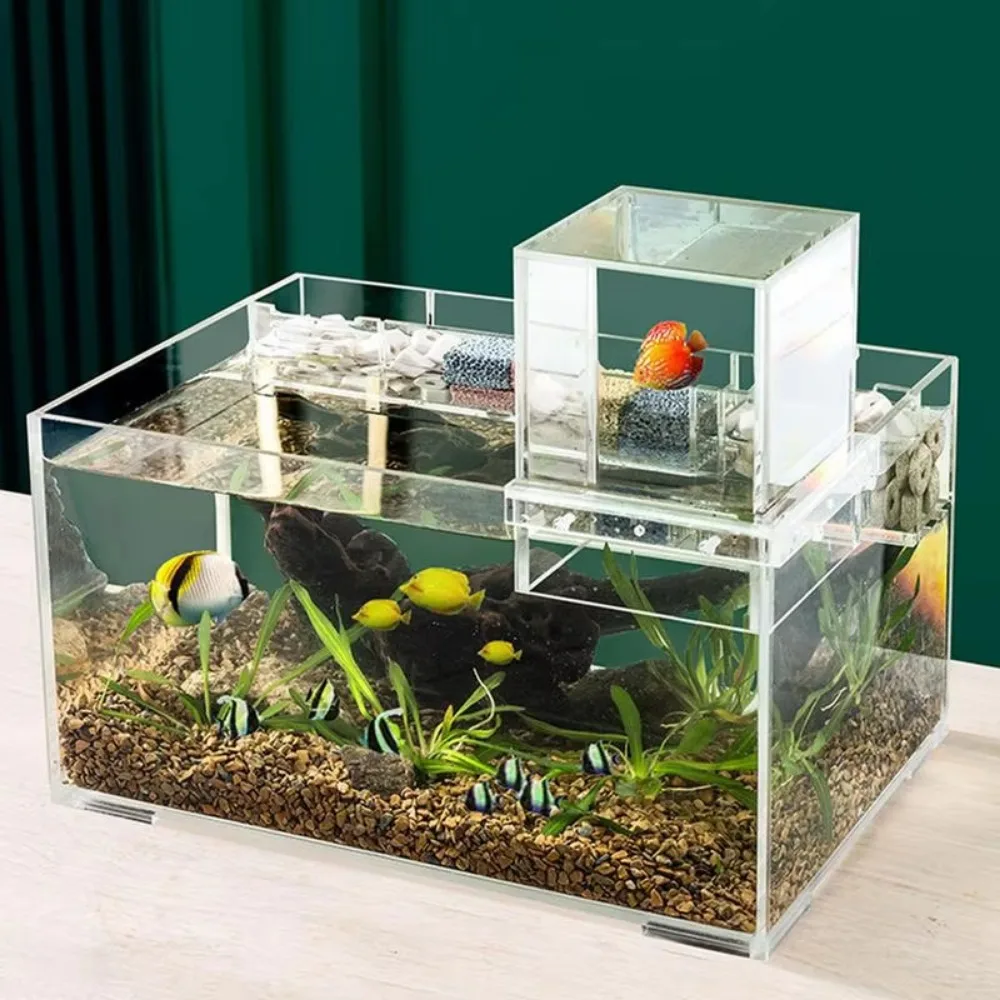 Landscaping Negative Pressure Fish Tank Unique Easy to Install Acrylic Suspended Fish Tank Eye-catching