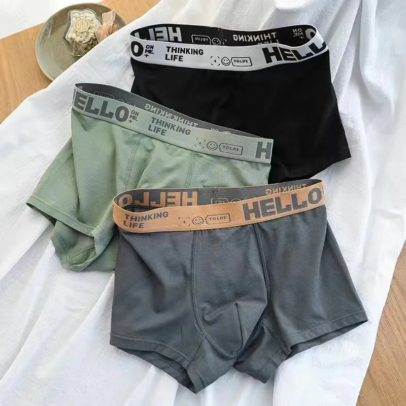 6pcs Men Underwear Cotton Sexy Men's Boxer Shorts Panties Breathable U  Convex Underpants Male Plus Size - AliExpress