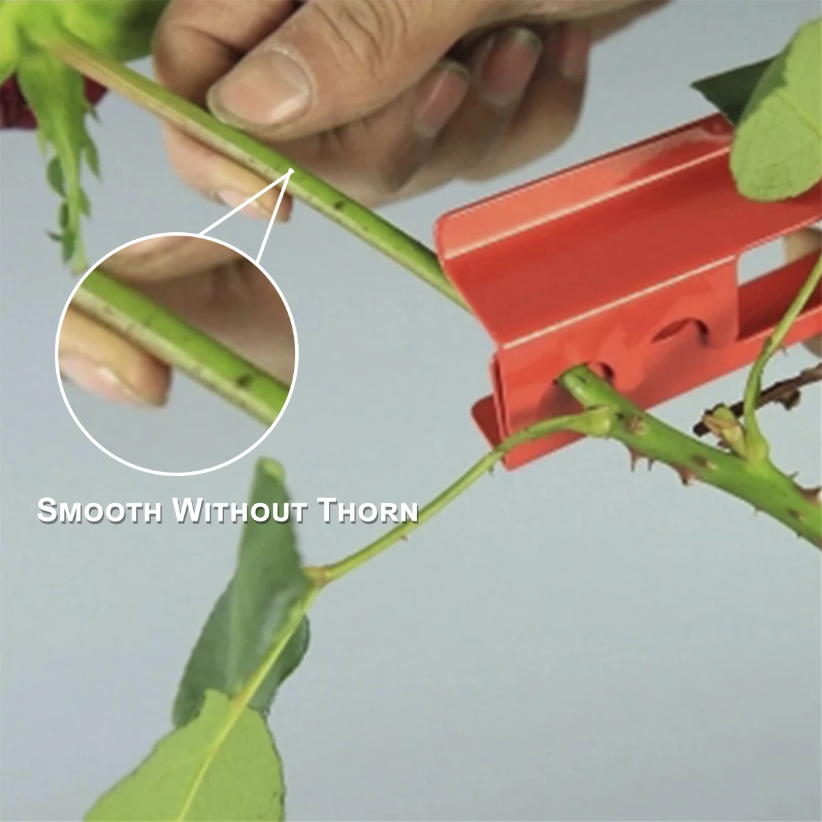 Florist Thorn Remover Metal Flower Rose Cut Tool Thorn Stem Leaf Stripper Rose Plier Removing Burrs Garden Tool Trimming 3Pcs garden tools