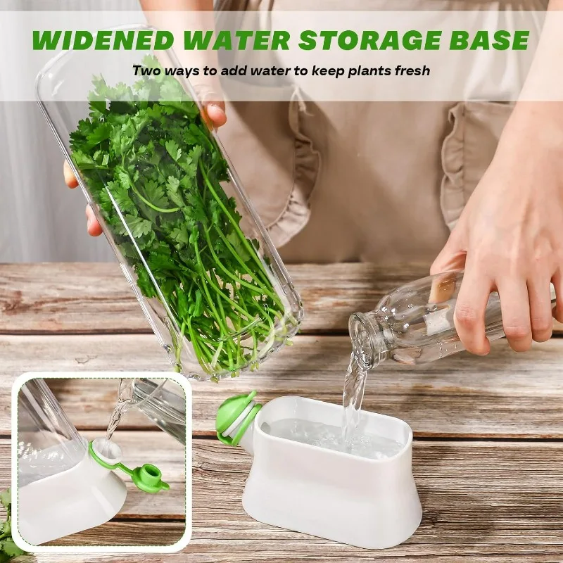 Saving Cilantro Container-Clear Herb Saver for Cilantro, Mint & Asparagus-Herb Savor Bottle Fresh Storage