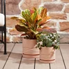 terracotta plant pot 8 inch round with drainage saucer