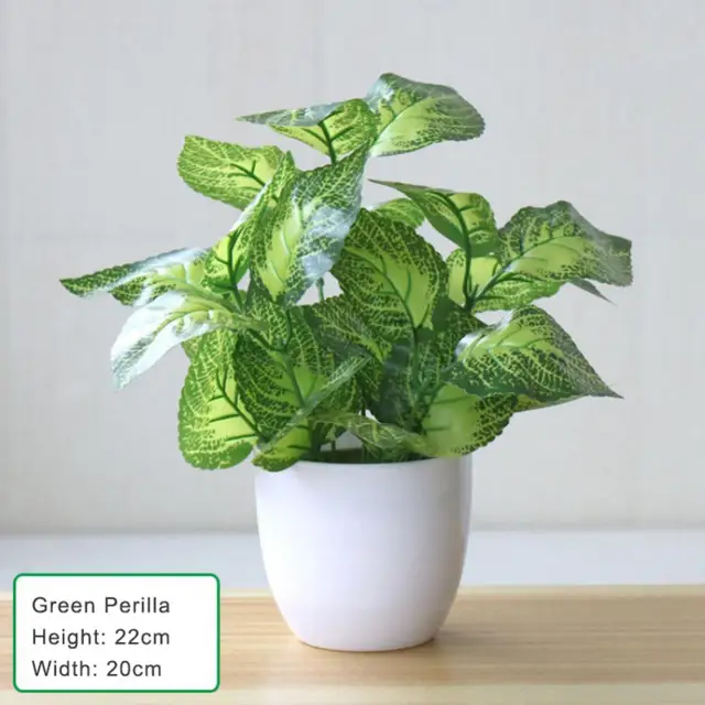 Green Perilla