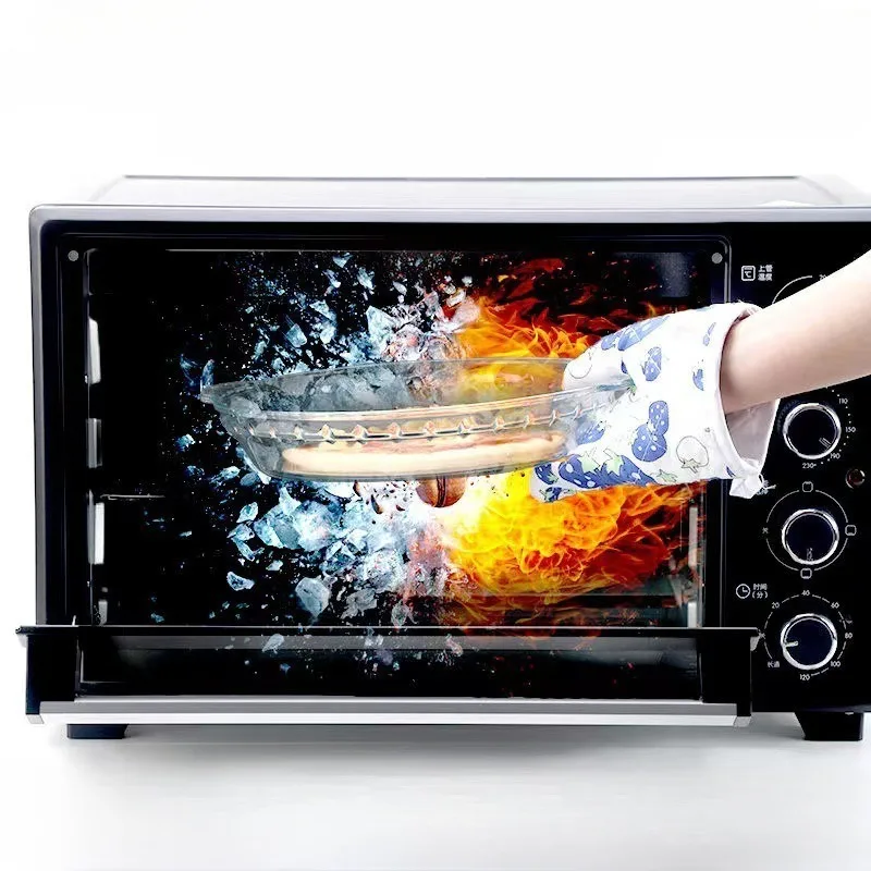 Heat-Resistant Transparent Glass Serving Plate