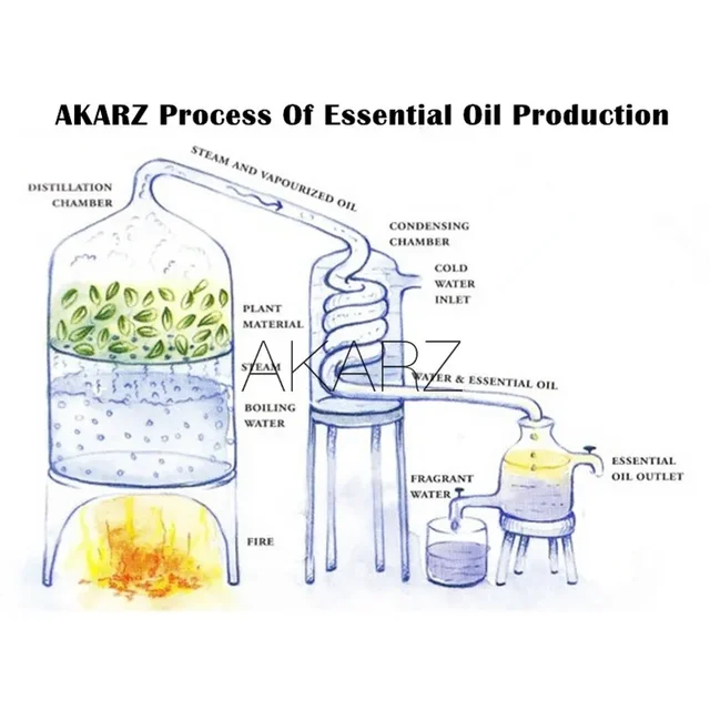 AKARZ Citronella Essential Oil Natural Aromatherapy Remove Acne Insect Soothing Mood Relax Citronella Oil - Image 5