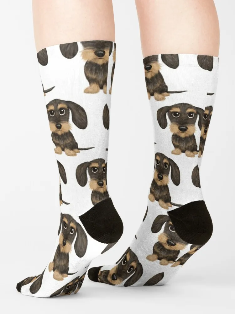 Wirehaired Dachshund | Cute Wire Haired Wiener Dog | Wild Boar and Tan Teckel Socks Female Cycling Socks Sports Socks Woman
