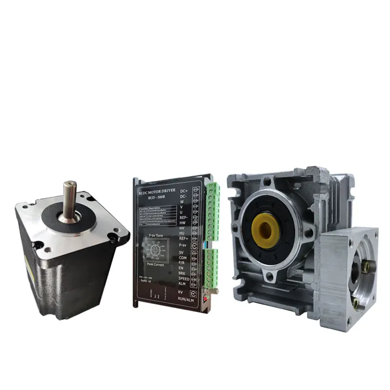 48V 300W brushless DC Motor RV30 Worm Gear Reducer Motor 0.95 N.M Self Locking Small DC Reducer Motor