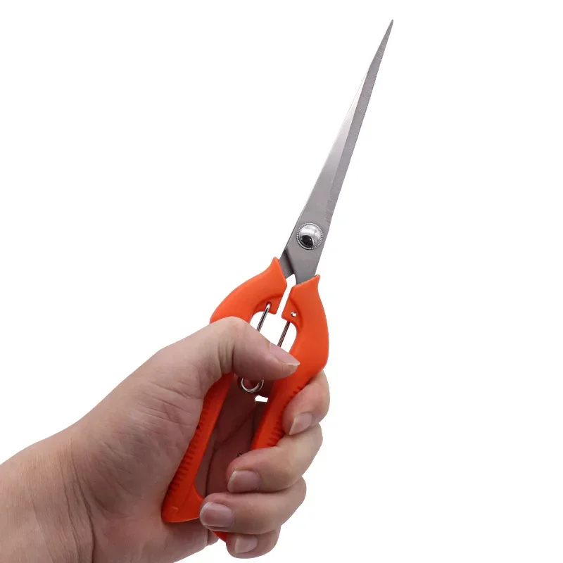 Pruning shears shown outdoors on natural surface