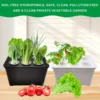 Hydroponic Planting Tray 6-grid Self Absorbing Seedling Pot Sunshine Hydroponic Apparatus Garden Courtyard Planting Accessories 3