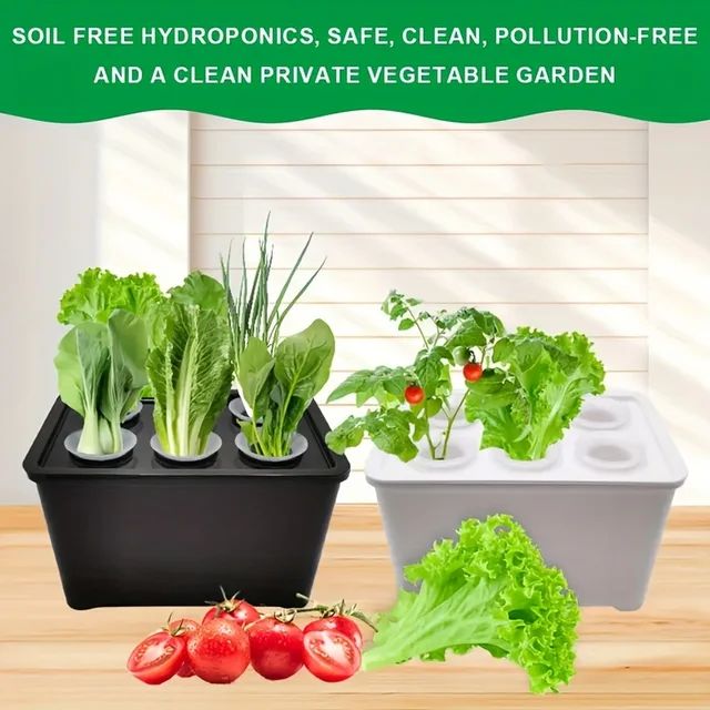 Hydroponic Planting Tray 6-grid Self Absorbing Seedling Pot Sunshine Hydroponic Apparatus Garden Courtyard Planting Accessories 3
