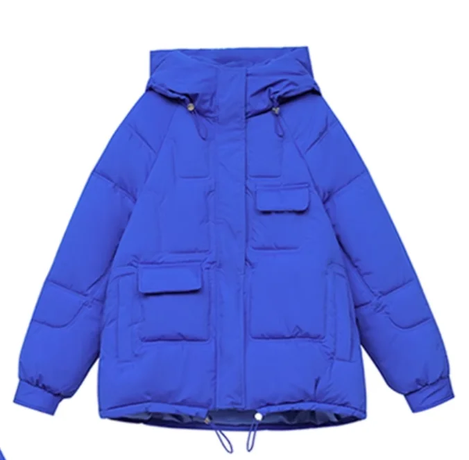 

2023 Women's Clothing Hooded stylish loose short down coat Winter New