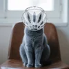 Grooming Help Ball-shaped Cat Head Cover Sturdy Transparent Pet Space Hood Breathable Safety Anti-bite Mask Trim Nails 4