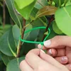 Green Heavy Duty Nylon Cable Ties Multi-Purpose Self-locking Plant Support Tie Home Garden Plant Care Fastener Ties Wholesale 3