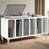 Vinyl Records Cabinet 1