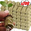 10/200x Round Rockwool Starter Plugs Rockwool Grow Plugs Hydroponics Grow Media Seed Starter Kit Home Indoor Garden Accessories 1