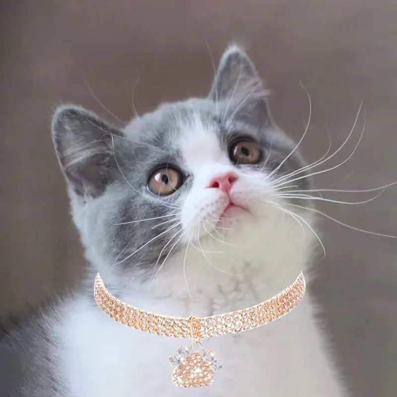 Paw Shaped Rose Gold Dog Collar Lovely Solid Zircon Necklace for York Dogs Golden Kitten Collars Adjustable Pet Cat Accessories