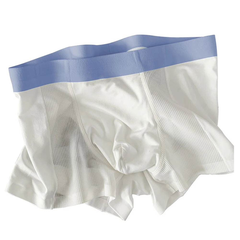

Men Mesh Ice Silk Boxer Trunks Man Breathable Underwear Summer Thin Boxer Briefs U Convex Pouch Underpants See Through Lingerie