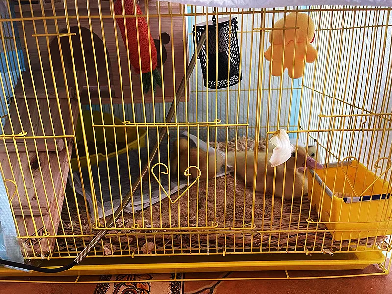 5241c0a50bb58ea5f1cd0d4283bc99