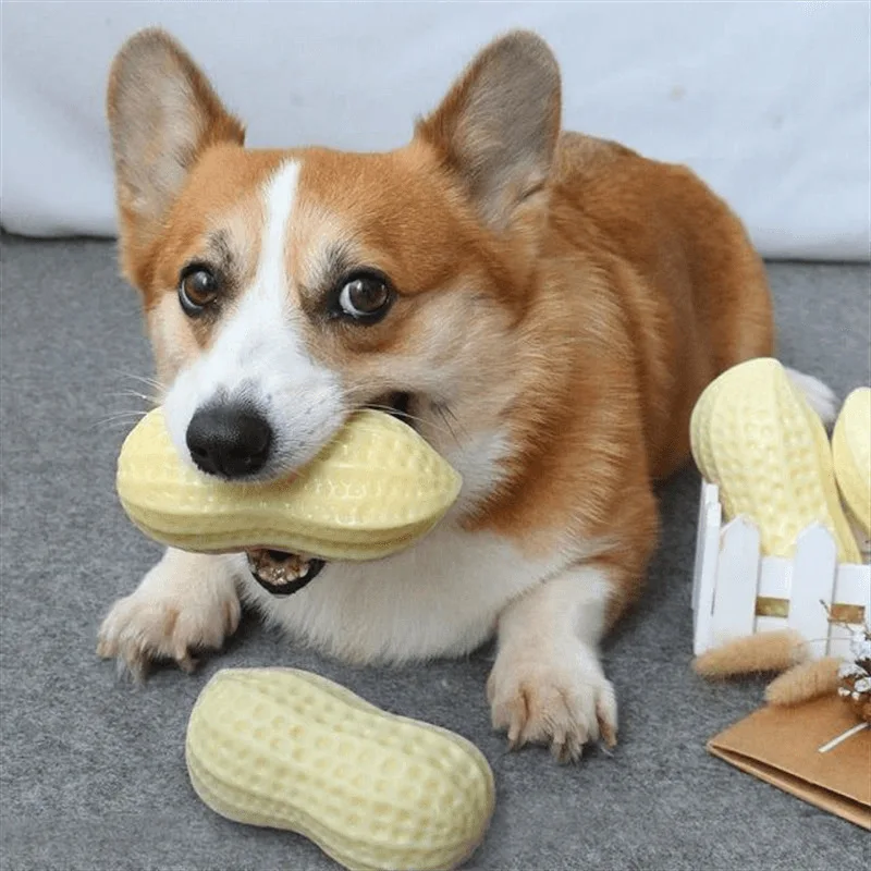 

1Pcs for Dogs Chew Toys TPR Primary colors Pet Supplies Shape of peanut 13X6X5.5cm Sound Toy