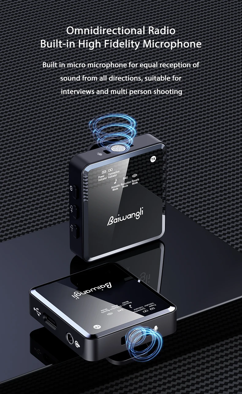 Baiwangli SX39 Dual Wireless Microphone description image 8