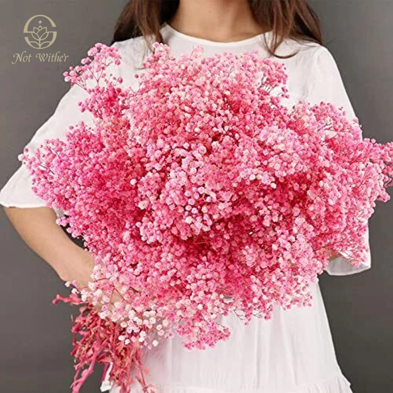 

100g Pink Dried Baby Breath Natural Flower Wedding Decor Gypsophile Bouquet Home Tables Decoration Accessories Artificial Plants