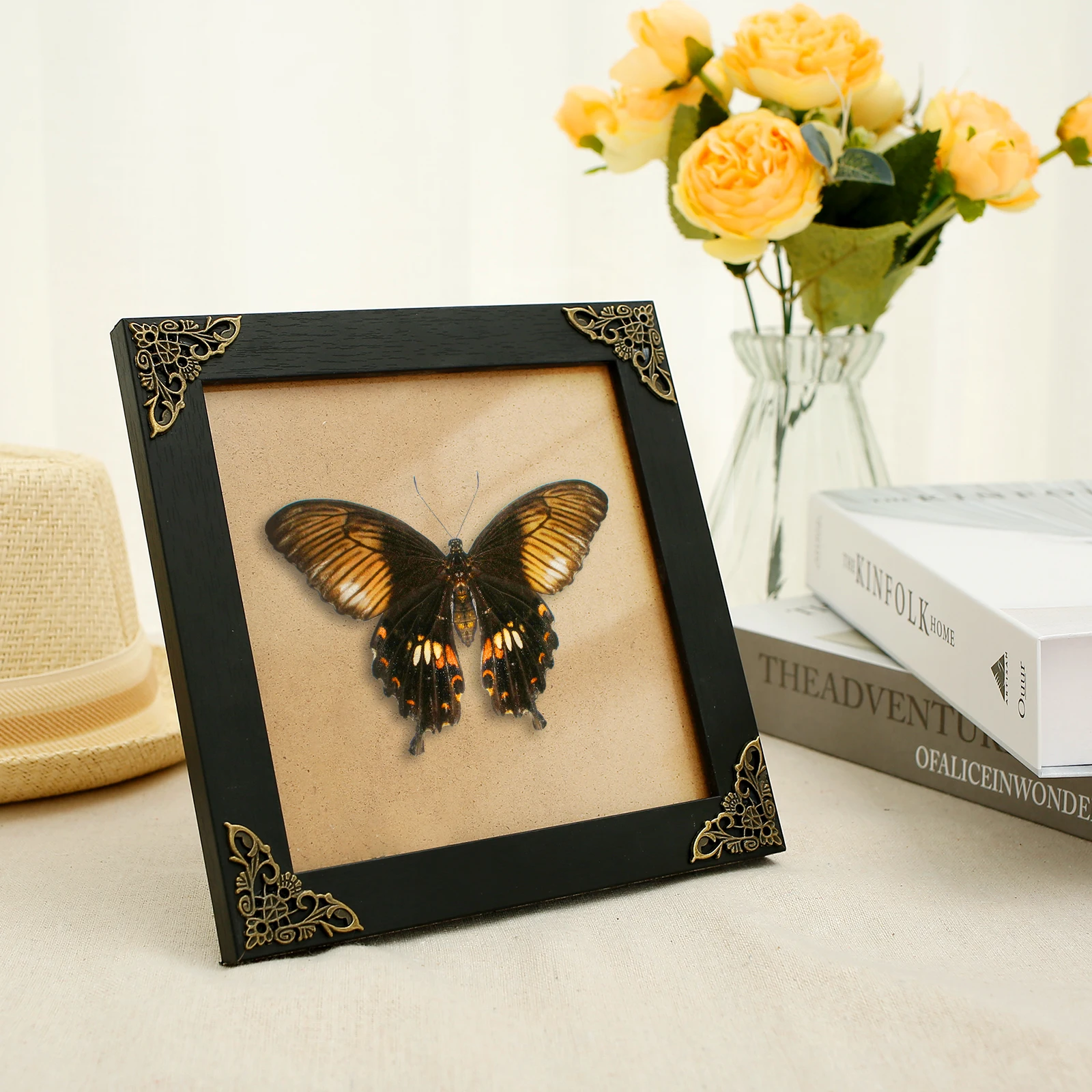 7 x 7 Inch Insect Display Frame Square Wooden Shadow Box Frames