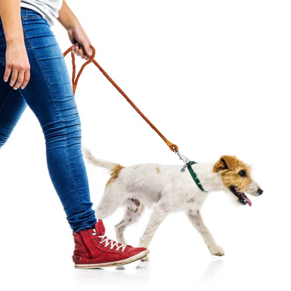 Title 13, 4ft Genuine Leather Dog Leash Soft Real Leather...