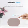 GGMM Wireless Bluetooth Smart Speaker 10W Stereo Speaker Outdoor Mini Speaker Support Alexa Spotify Streaming Music Speaker 4