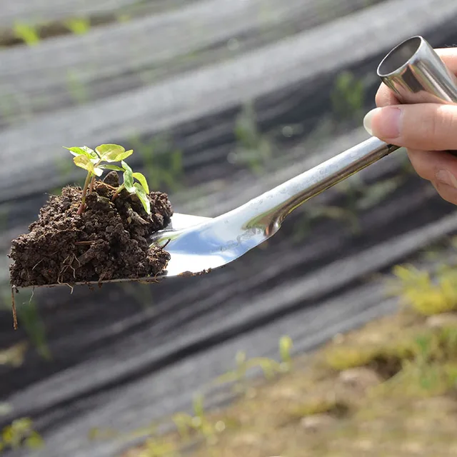 Lapátkertészet Virág Ültetés Kis Lapáttal Háztartás Zamatos Zöldség Gyomnövény Ásás - Image 4