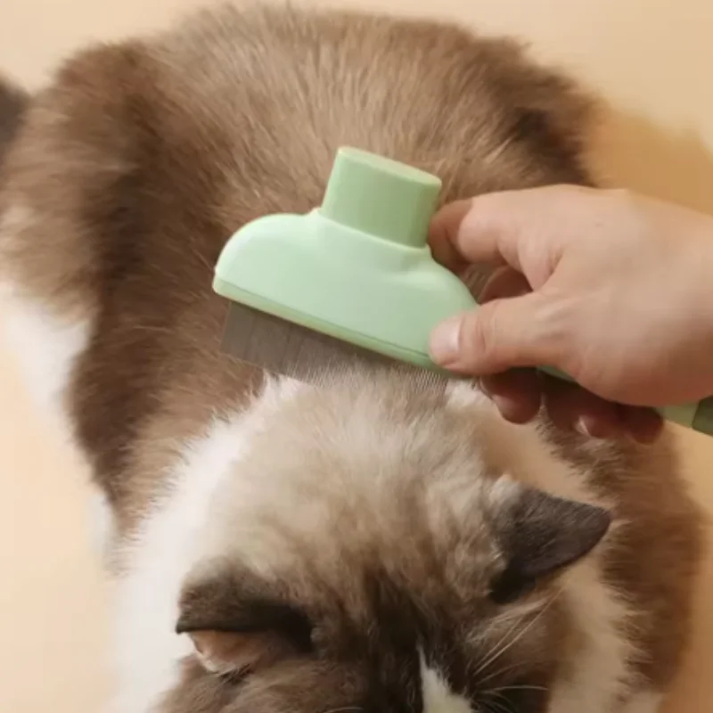Peine removedor de pelo de un botón para perros, cepillo autolimpiante para gatos, peines de masaje, cepillos de aseo para perros y productos para mascotas._voghion.com