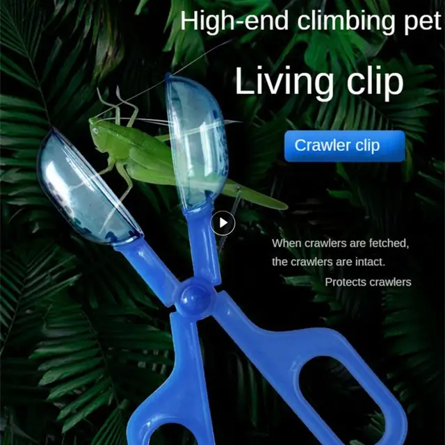 Műanyag Természetkutató Játékkészlet Gyerekeknek Ültetési Ollós Bilincs Csipeszek Montessori Játékok Rovarvizsgáló Eszköz