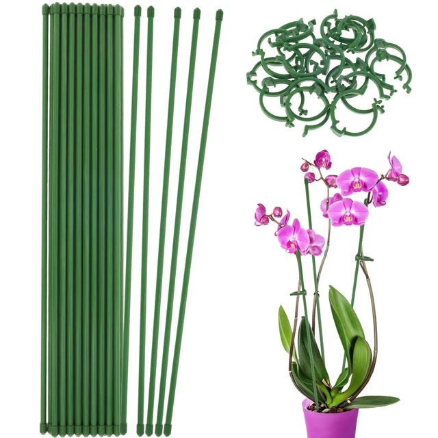 20Pcs Bamboo Green Sticks Plant Support Flower Stick Orchid Rod Plant Sticks  for Supporting Climbing Plant Orchid Tomato - AliExpress