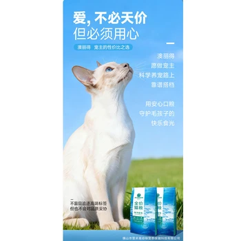 Cibo per Gatti da 500g a Prezzo Intero, Adatto per Gattini e Gatti Adulti, Speciale per Più Gatti in Casa