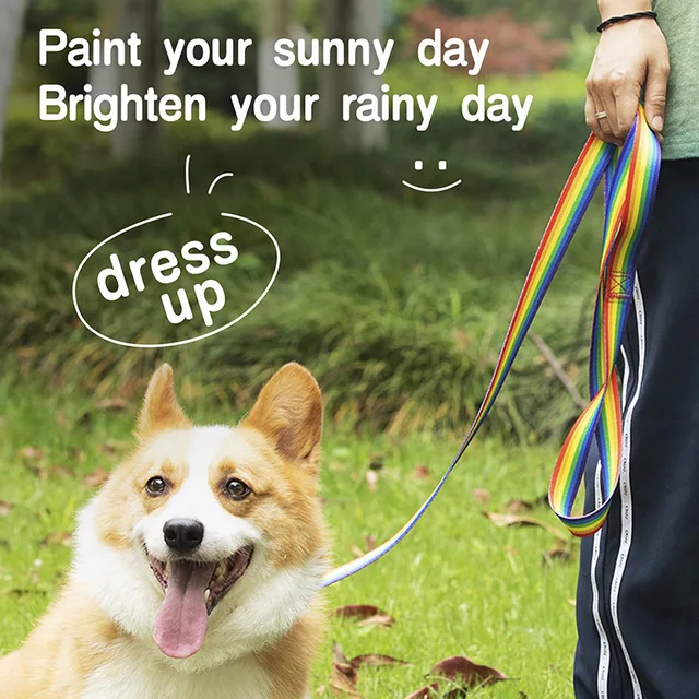 New Rainbow Walking Dog Rope Large Medium And Small Dog Traction Rope Snap On Pet Collar Nylon Strap Woven Dog Pet Accessories 6