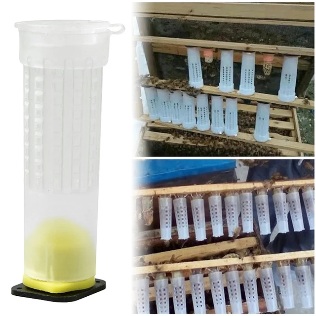 1 Beállított Méhek Szerszámok Ketrecei Király Queen Méh Méhész Fogó Tenyésztő Cupkit Rendszer Doboz Cellák Ketrec Nicot Apicultura Teljes Készlet - Image 3