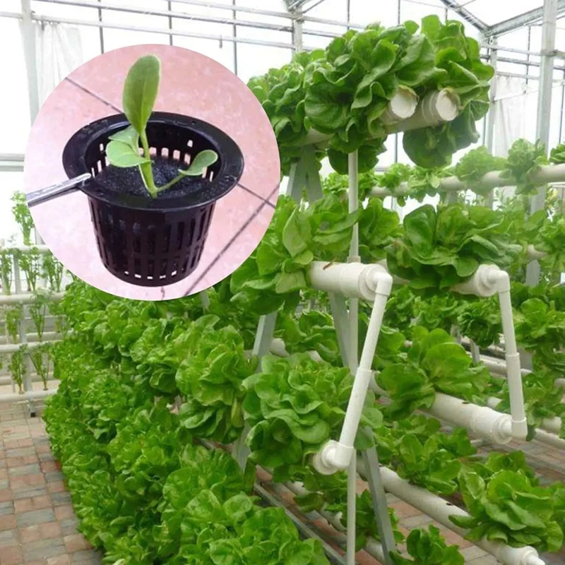 AA14 New 100Pcs Black Plastic Fixing Basket Gardening Soilless Slotted Mesh Plant Cups, Pots, Buckets, Baskets For Hydroponics