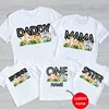 Kids 2 3 4 5 6 Animal Birthday Party Tshirt Matching Family Outfits Boy Shirt Party Girls TShirt Children Outfit Custom Name 1