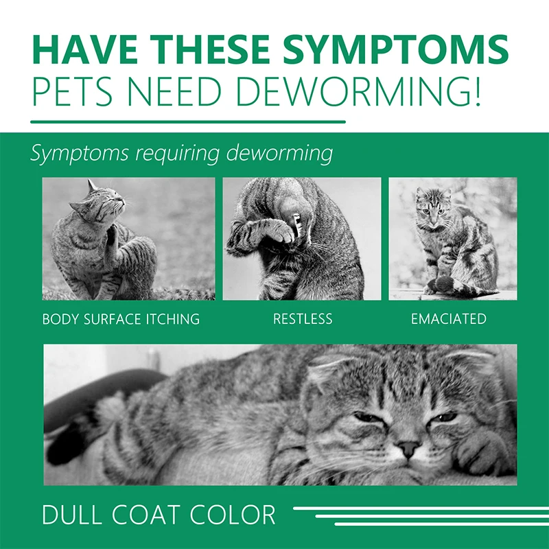 Pet Ticks Mosquito Collar Anti Flea Collar For Cat Anti Flea Mite Lice Insecticide Outdoor Adjustable Pet Mites Repellent