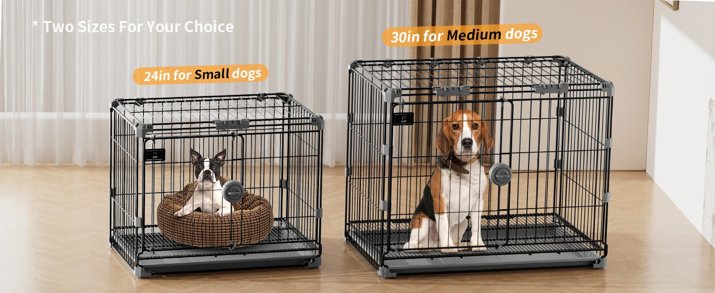 dog kennel