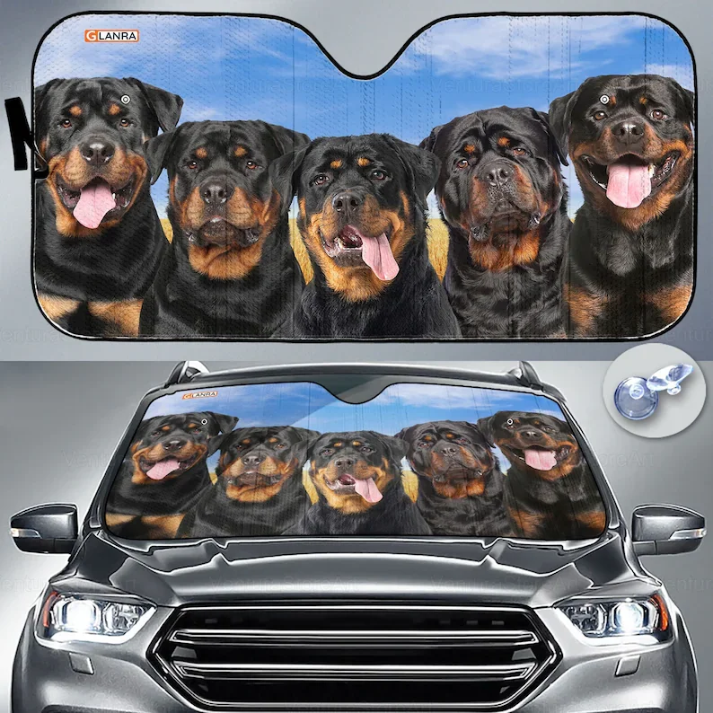 

Rottweiler Car Sunshade, Rottweiler Lover, Rottweiler Car Decor, Gift For Dad, Auto Sunshade, Dog Car Sun Protector, PHT172205F0