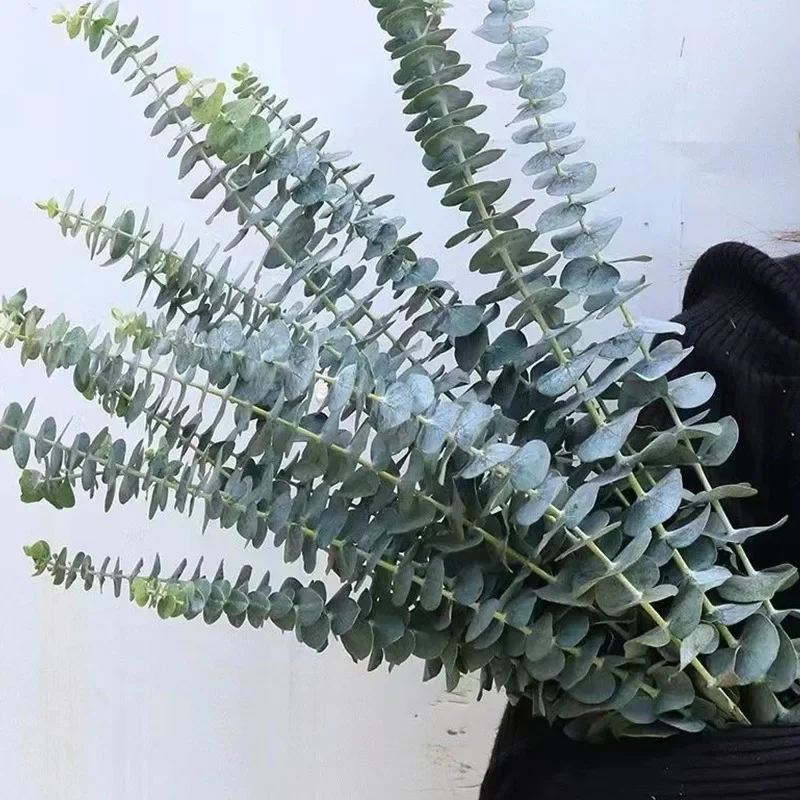 

Artificial Eucalyptus Leaves Valentine's Day Fake Plants Green Leaf Branches for DIY Wreath Wedding Party Flowers Bouquets Decor