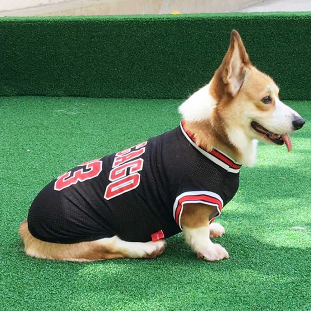 Fashion Pet Dog Jersey Number 23 Dog Basketball Vest Tshirt French Bulldog  Vests Schnauzer Clothing Dogs Pet Costume WPN0010 - AliExpress