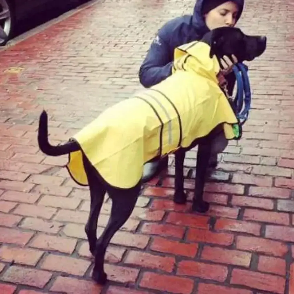 실용적인 스트립 반사 기능이 있는 강아지 레인코트 후드형 방풍 강아지 레인 재킷 가벼운 방수 강아지 코트 여행용