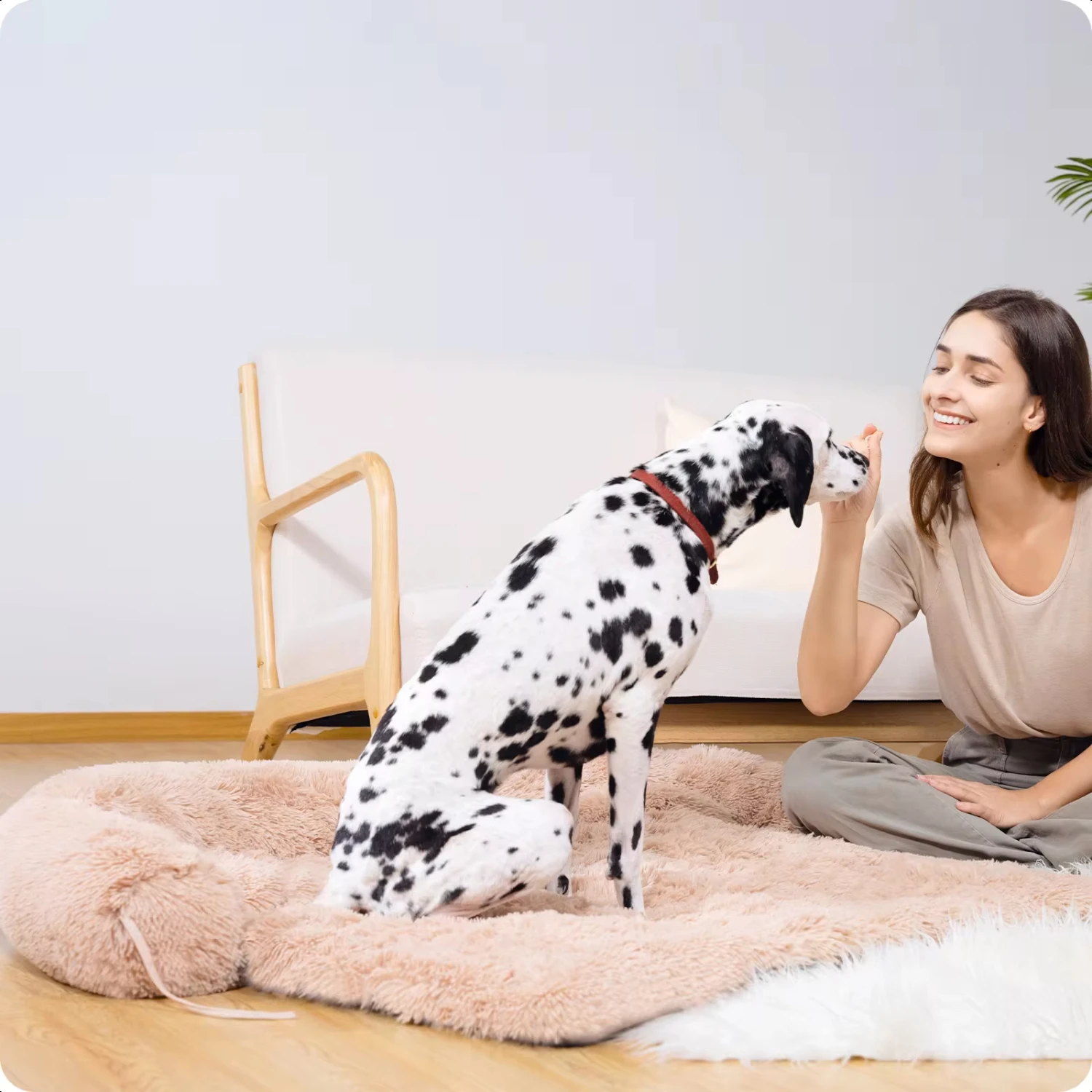Dog Bed Large Sized Dog, Fluffy Dog Bed Couch Cover, Calming Large Bed, Washable Mat Protector