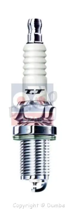 Muslimfor Candela Universale K20.