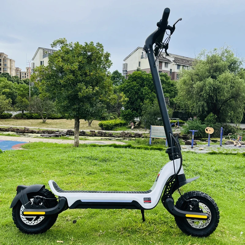 10 inch electric scooter for adults 800w motor 48v 15ah battery two wheel foldable China stock S9 PLUS